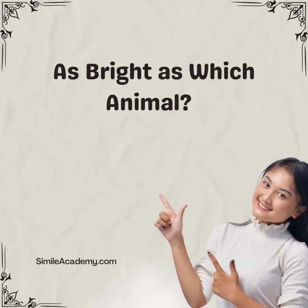 As Bright as Which Animal