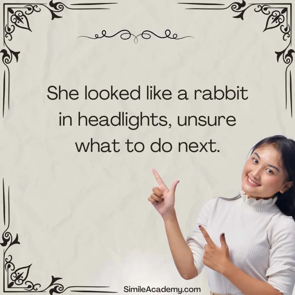 Like a rabbit in headlights