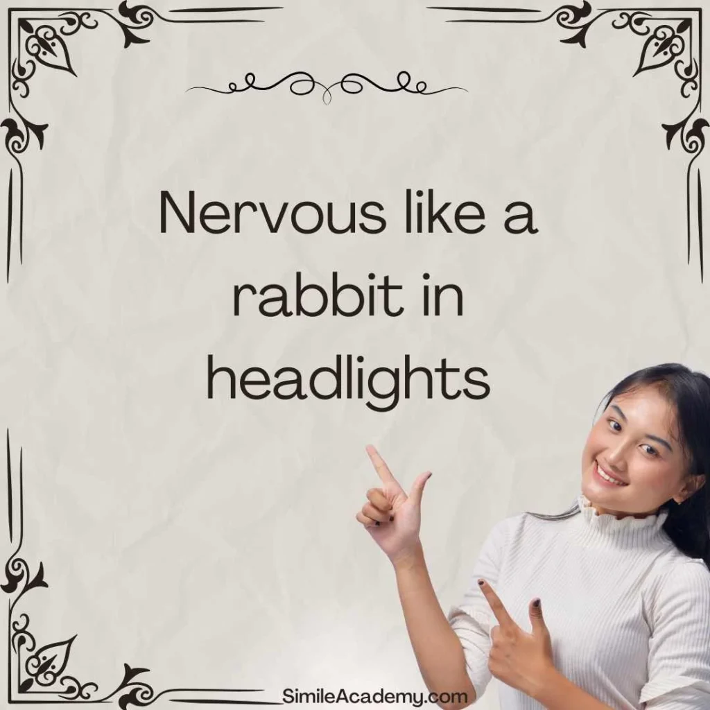 25 Similes for Nervous