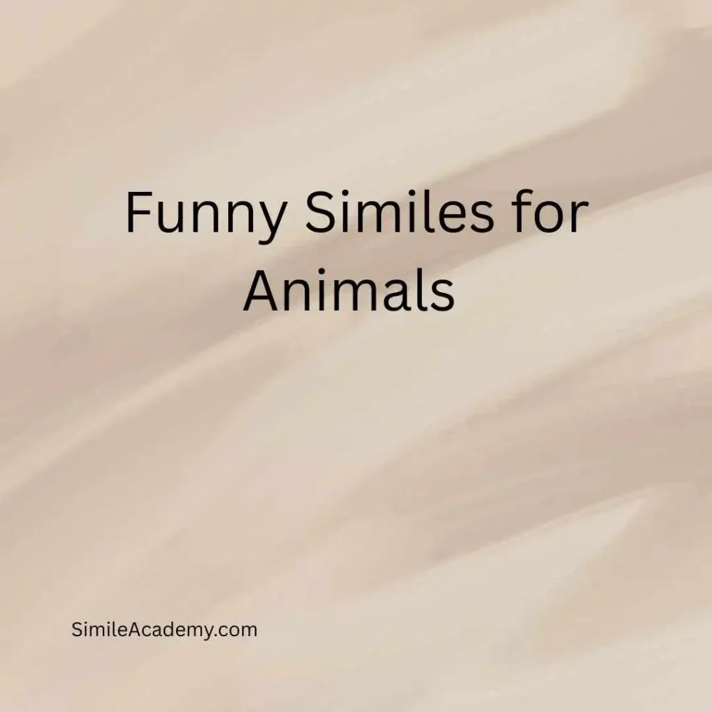 Funny Similes for Animals  