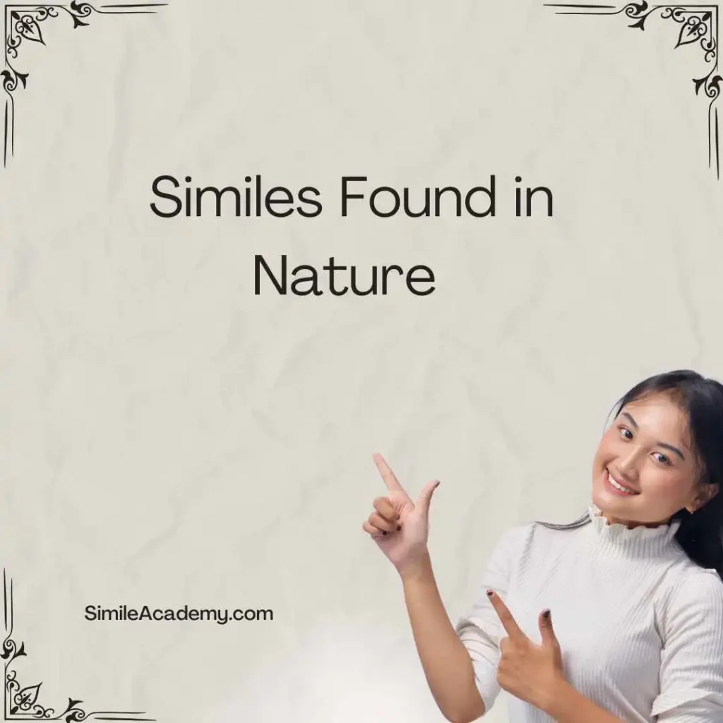 Similes Found in Nature 