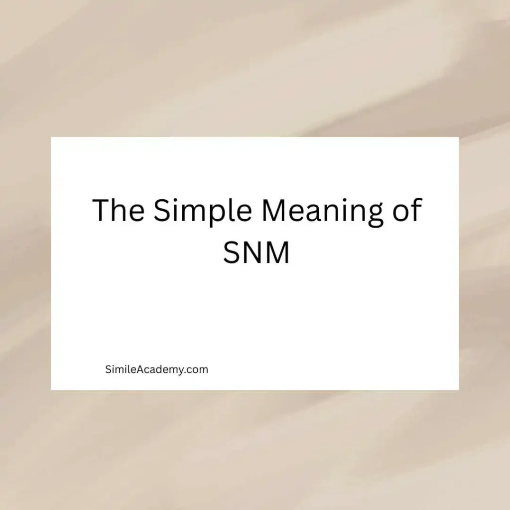 The Simple Meaning of SNM