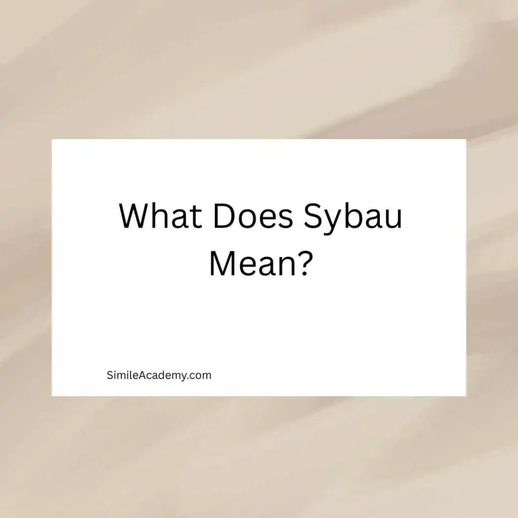What Does Sybau Mean