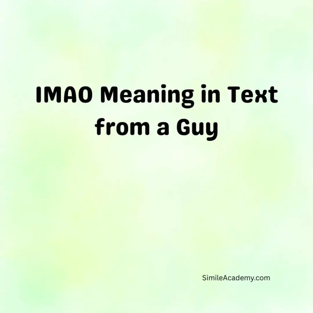 IMAO Meaning in Text from a Guy