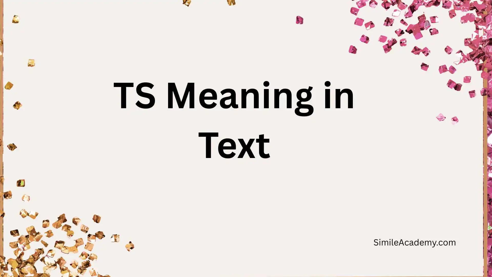 TS Meaning in Text