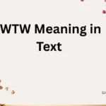 WTW Meaning in Text