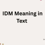 IDM Meaning in Text 