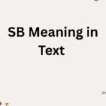 SB Meaning in Text 