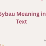 Sybau Meaning in Text 