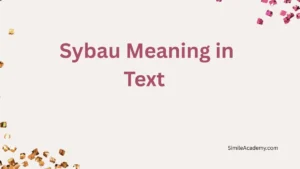 Sybau Meaning in Text 