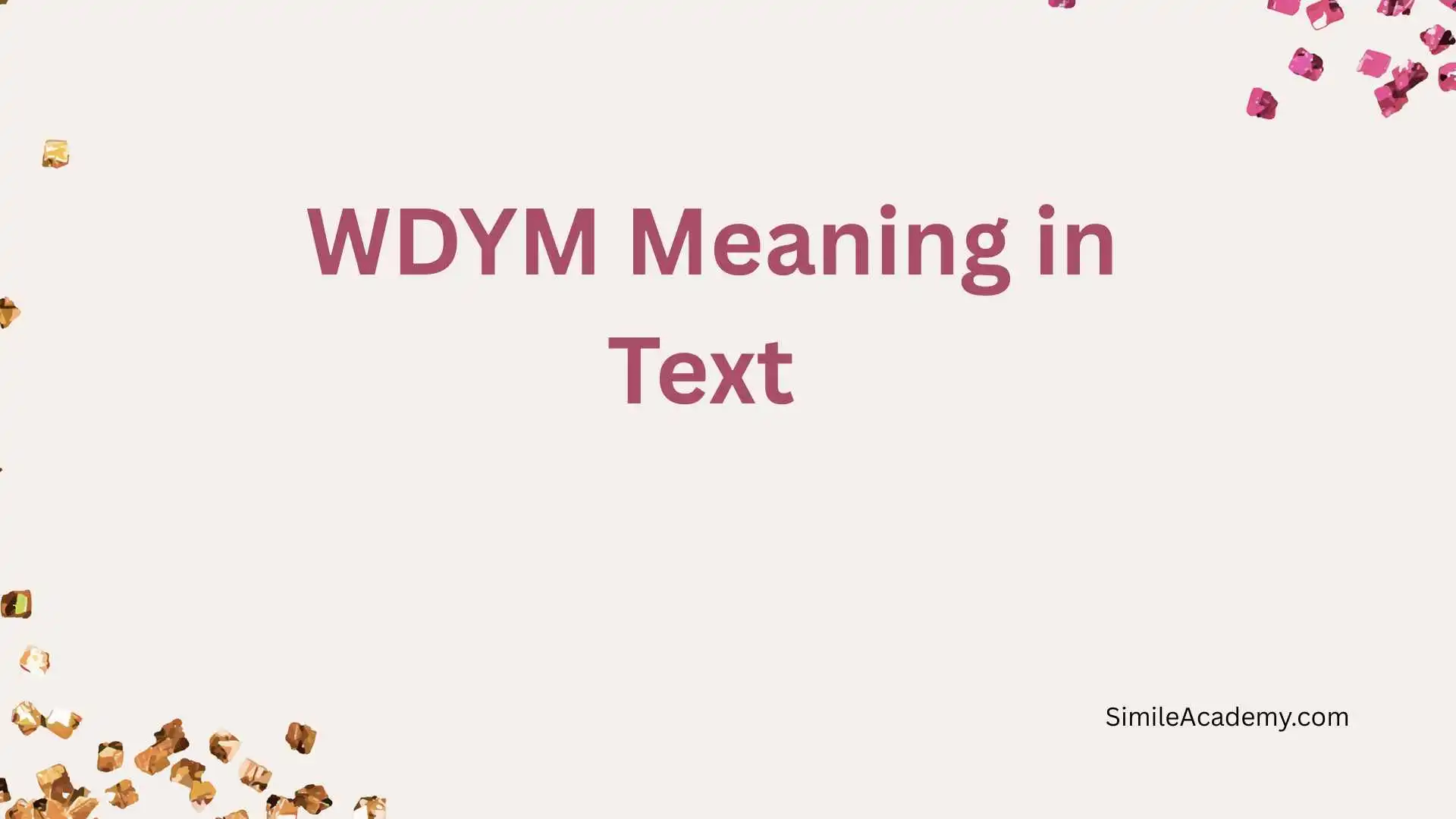 WDYM Meaning in Text 