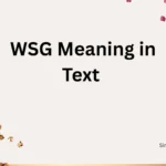 WSG Meaning in Text 
