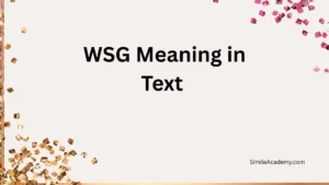 WSG Meaning in Text 
