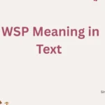 WSP Meaning in Text 