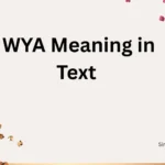 WYA Meaning in Text