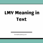 LMY Meaning in Text 