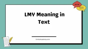 LMY Meaning in Text 