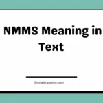 NMMS Meaning in Text