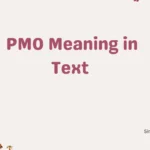 PMO Meaning in Text 