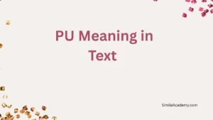 PU Meaning in Text 