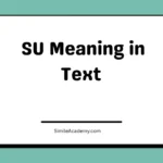 SU Meaning in Text 