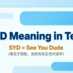 SYD Meaning in Text 