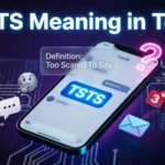 TSTS Meaning in Text 