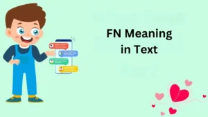 FN Meaning in Text 